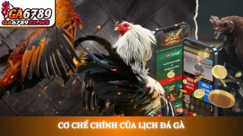 Cơ chế chính của lịch đá gà