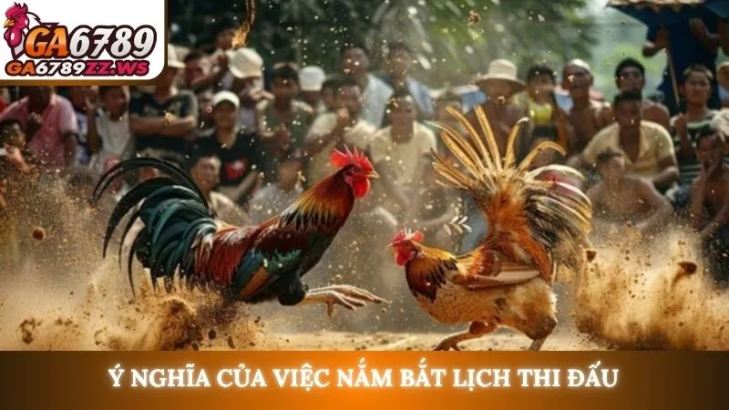 Ý nghĩa của việc nắm bắt lịch thi đấu