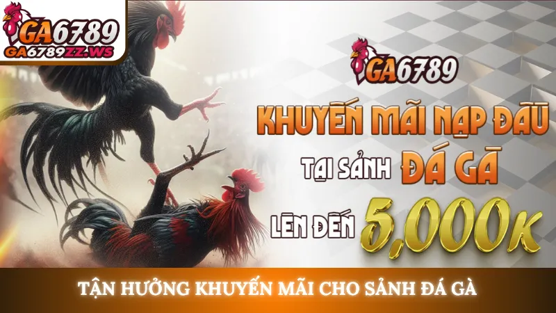 Tận hưởng khuyến mãi cho sảnh đá gà